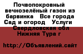 Почвопокровный, вечнозелёный газон из барвинка - Все города Сад и огород » Услуги   . Свердловская обл.,Нижняя Тура г.